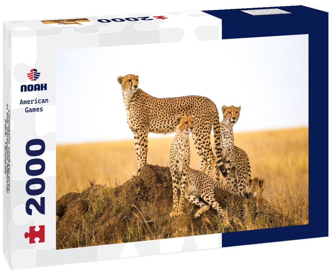 Cheetahs stalking prey in the Serengeti National Park, Tanzania 2000pc Puzzle