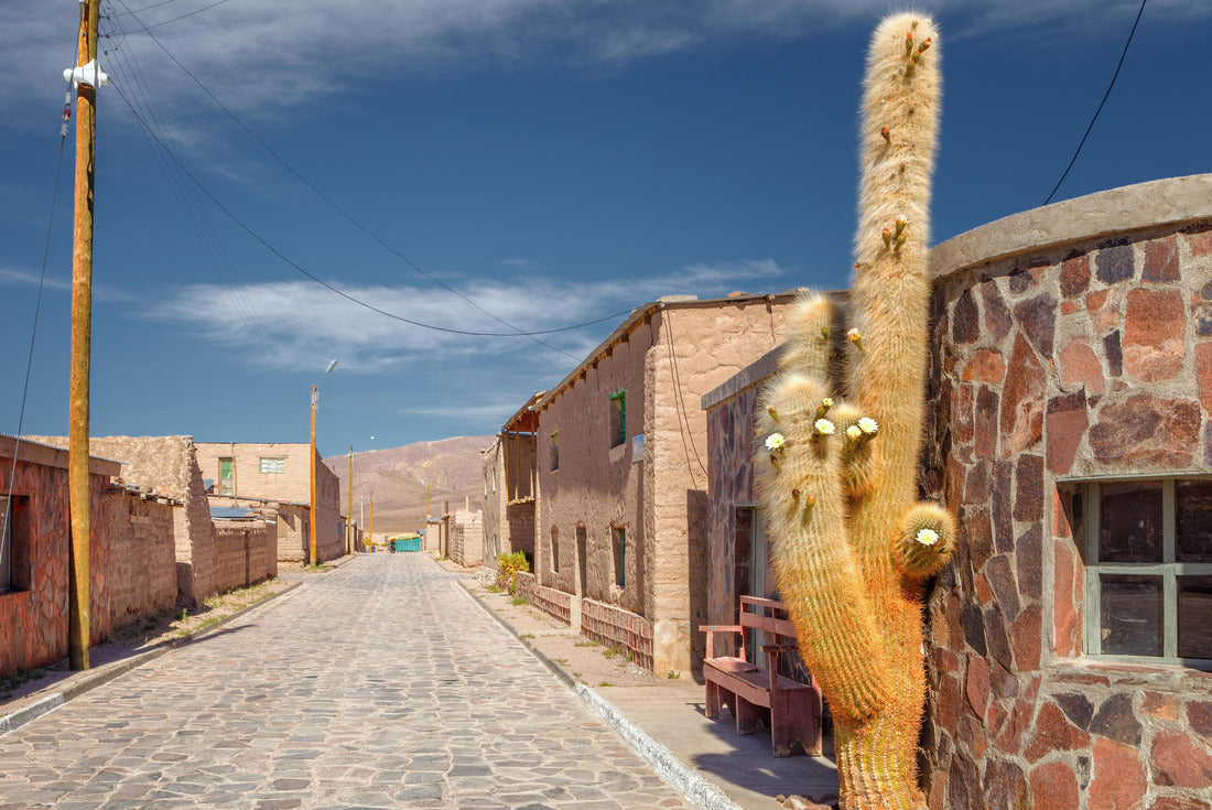 Street of the town of Cariquima, with giant cacti, near Colchane, in the Tarapaca region, in the foothills of the Cariquima mountain, northern Chile 2000pc Puzzle
