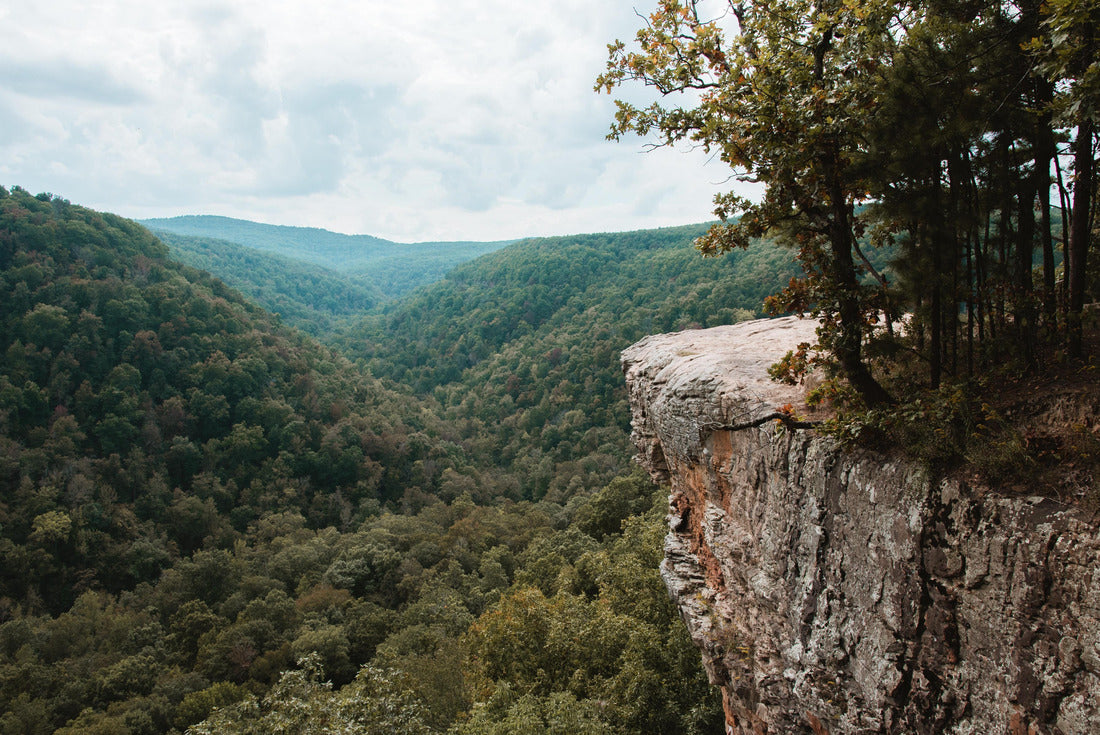 Bluff lines and rock formations on the Hawksbill Crag hiking trail; near Fayetteville, Arkansas 2000pc Puzzle