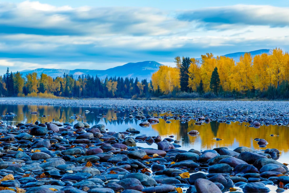 River rocks and color reflection on Flathead River, Montana in autumn with colorful fall trees 2000pc Puzzle
