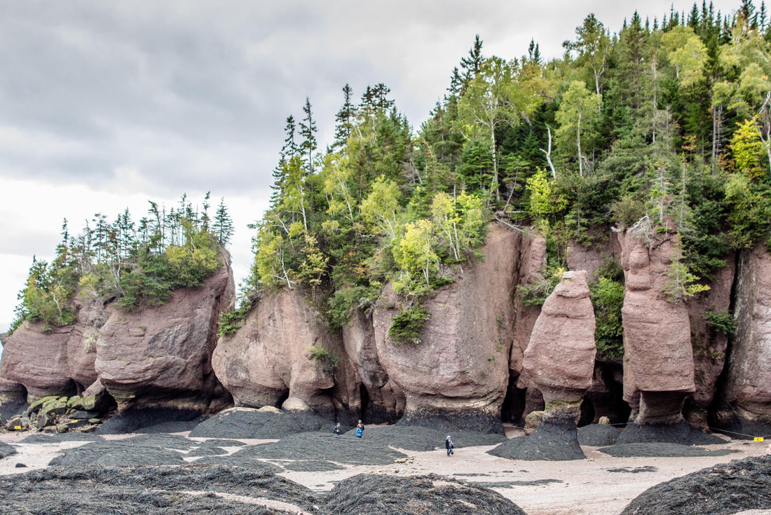 The Hopewell Rocks in the Bay of Fundy in New Brunswick, Canada 2000pc Puzzle