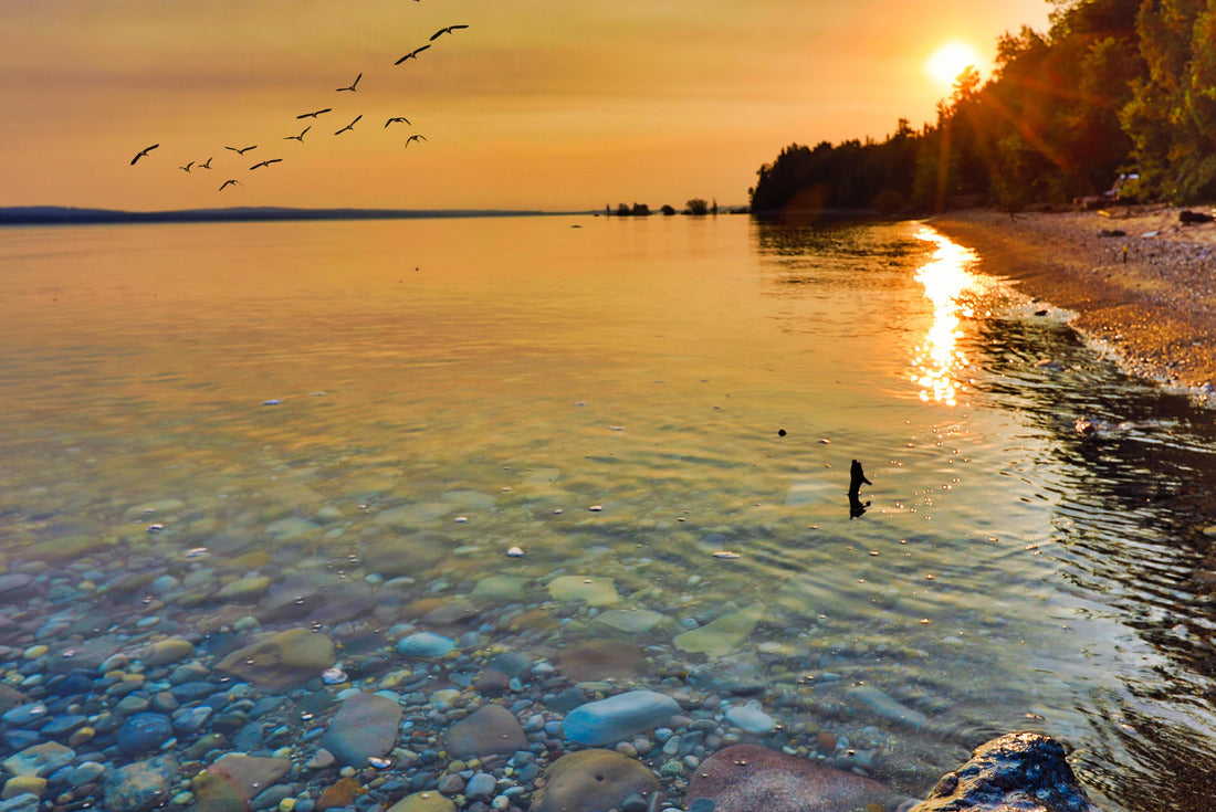 Noah Jigsaw Puzzle Enjoy the view of Lake Michigan at sunrise and sunset. This view is located between Petoskey and Charlevoix Michigan 2000 pieces