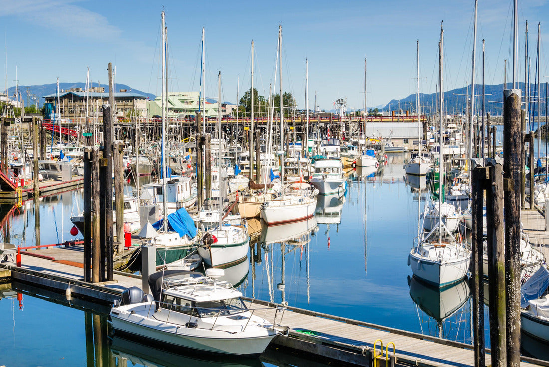 Noah Jigsaw Puzzle Campbell River Harbour on a Clear Summer Morning. Vancouver Island, BC, Canada 2000 pieces