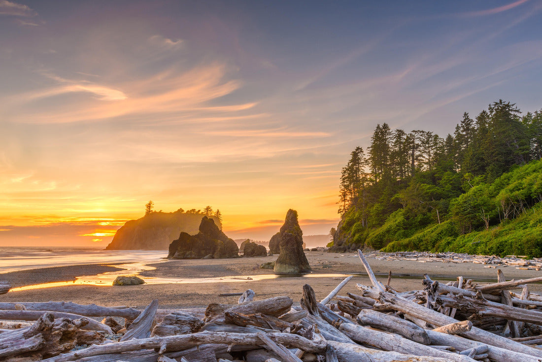 Olympic National Park, Washington, USA at Ruby Beach with piles of deadwood 2000pc Puzzle