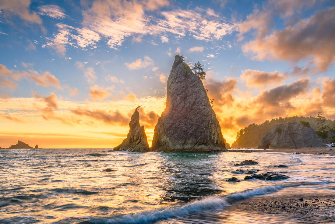 Noah Jigsaw Puzzle Olympic National Park, Washington, USA at Rialto Beach 2000 pieces