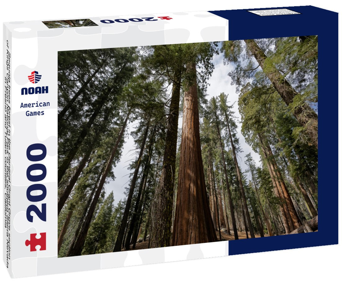Sequoia trees forest in the General Grant Grove section of Kings Canyon National Park in the southern Sierra Nevada, in Fresno and Tulare counties, California 2000pc Puzzle
