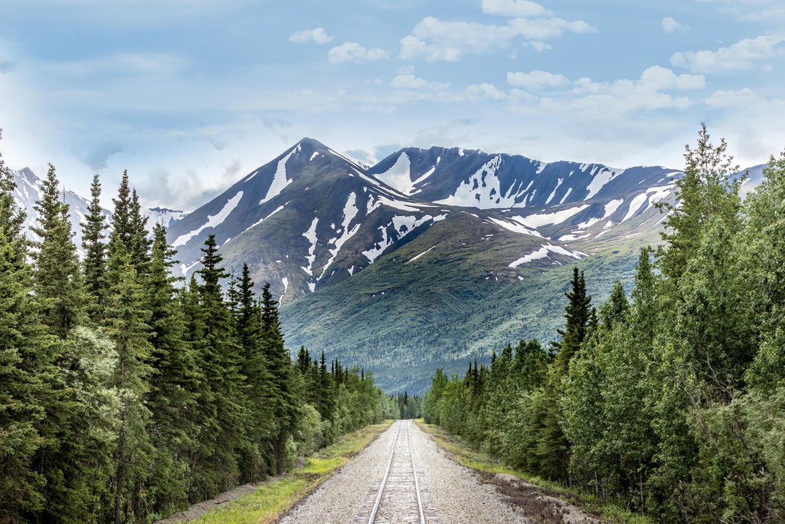 Mountain bike and train trail in Denali National Park, Alaska 2000pc Puzzle
