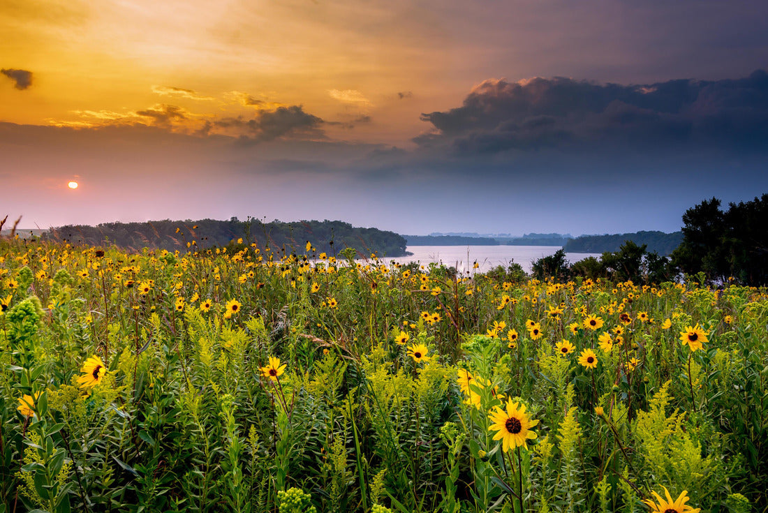 Wildflowers at sunset over the lake in Minnesota 2000pc Puzzle