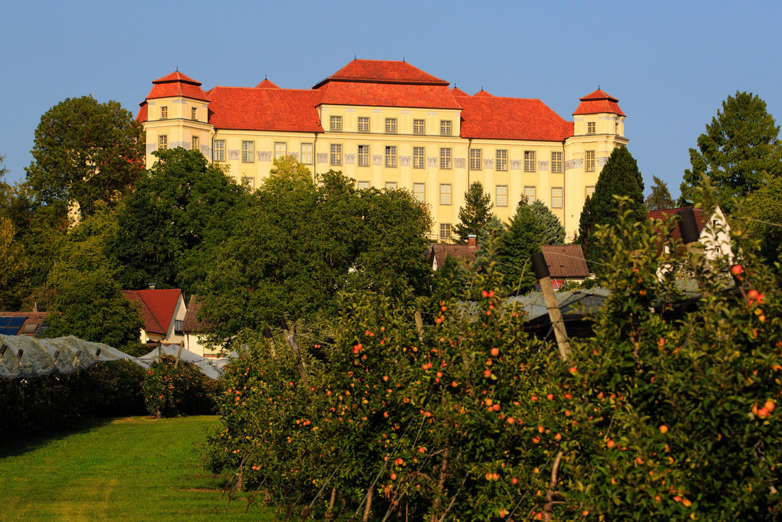The new Castle in Tettnang in Germany 2000pc Puzzle