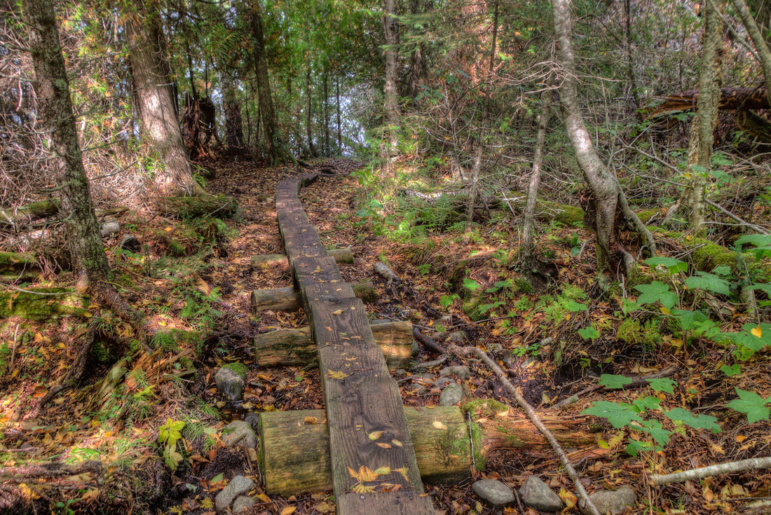 Isle Royale National Park is an Isolated Island in Lake Superior between Minnesota and Michigan 2000pc Puzzle