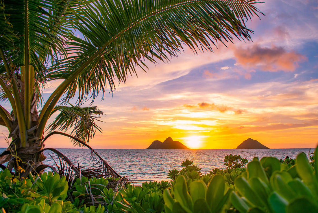 A glorious tropical sunrise over Lanikai Beach in Kailua, Oahu, Hawaii 2000pc Puzzle