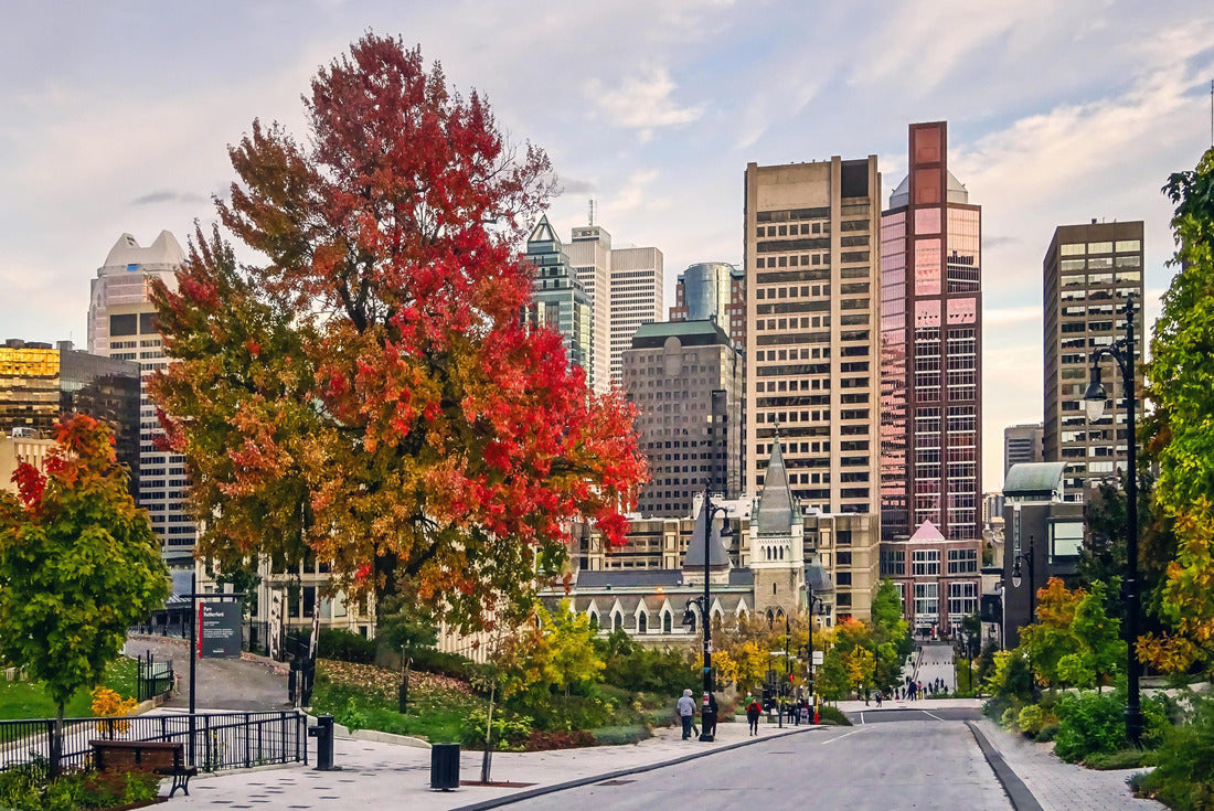 Autumn threes in Canada Montreal 2000pc Puzzle