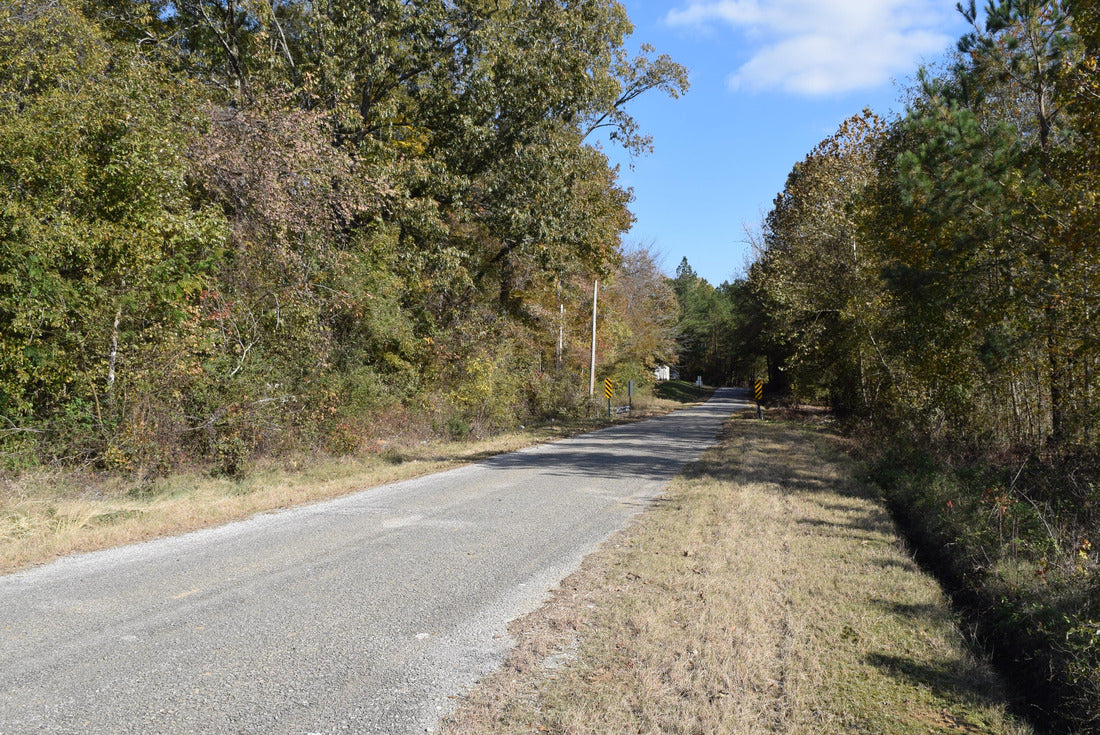 Old Oxford Road in Marshall County Mississippi 2000pc Puzzle