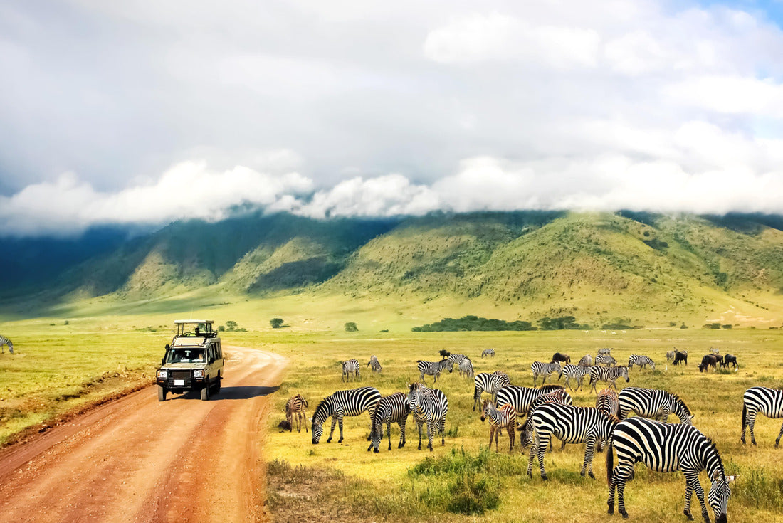 The wild nature of Africa. Zebras on mountains and clouds. Safari in the Ngorongoro Crater National Park. Tanzania 2000pc Puzzle