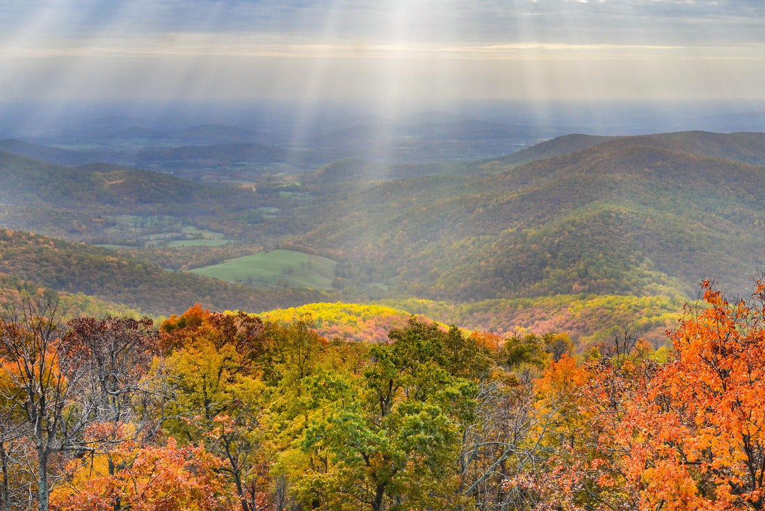 Shenandoah National Park in Autumn foliage - Virginia, United States of America 2000pc Puzzle