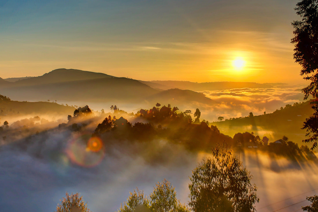Noah Jigsaw Puzzle Uganda sunrise with trees, hills, shadows and morning fog 2000 pieces