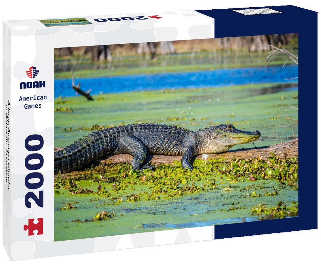 A large American alligator in Abbeville, Louisiana 2000pc Puzzle