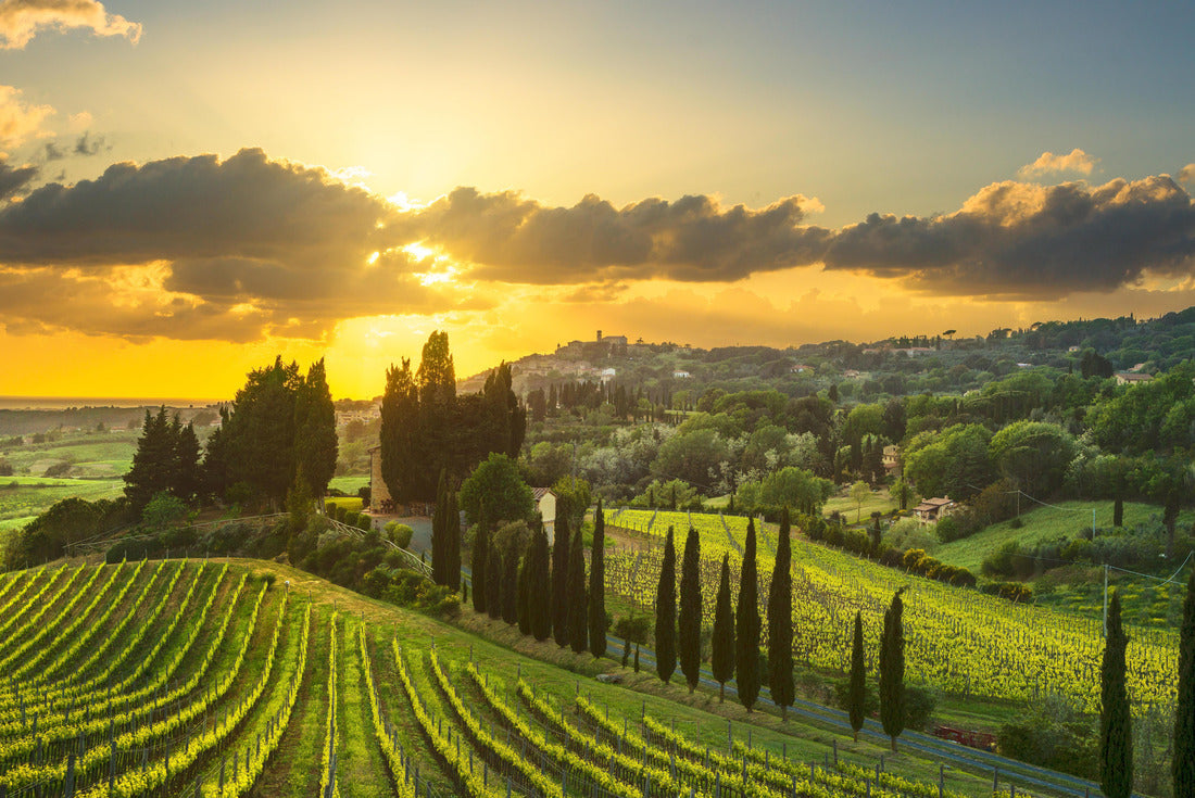 Casale Marittimo village, vineyards and landscape in Maremma. Pisa Tuscany, Italy 2000pc Puzzle