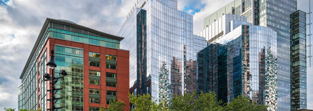 Noah Jigsaw Puzzle Boston Skyline and Cityscape over the green park. Abstract architectural geometry of modern buildings in downtown Boston, Massachusetts panorama 1000 pieces