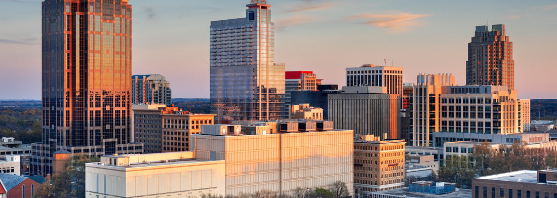 Noah Jigsaw Puzzle Raleigh, North Carolina, USA downtown city skyline at dusk panorama 1000 pieces