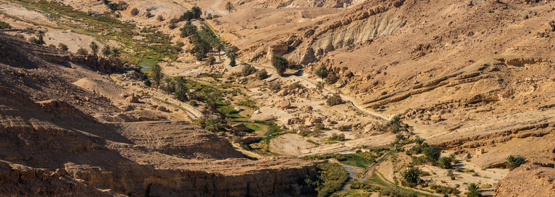 Noah Jigsaw Puzzle View of the Südberg in western Tunisia near the Sahara - Province of Tozeur - Tunisia panorama 1000 pieces