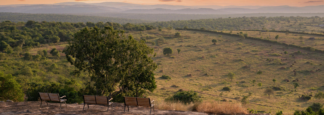 Noah Jigsaw Puzzle Panoramic view of the landscape of Lake Mburo National Park, Uganda panorama 1000 pieces