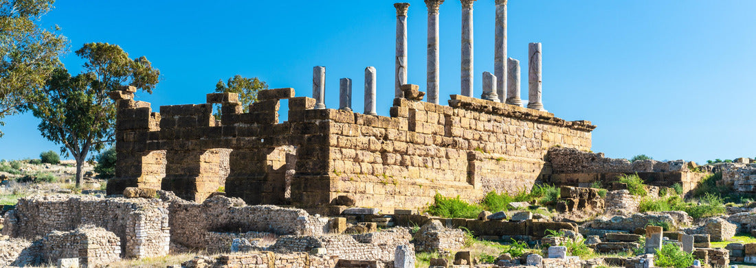 Noah Jigsaw Puzzle Thuburbo Majus large Roman site in northern Tunisia panorama 1000 pieces