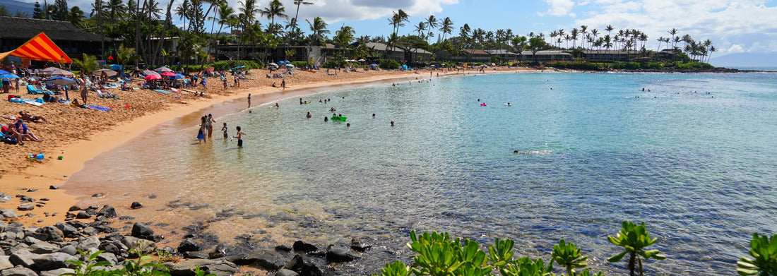 Noah Jigsaw Puzzle The beach of Napili Bay in Kapalua in the West of Maui island, Hawaii, United States panorama 1000 pieces
