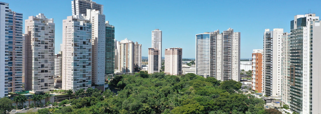 Noah Jigsaw Puzzle Panoramic view of the Flamboyant Park with a beautiful park with tropical trees, lakes and modern buildings. Goiania, Goias, Brazil panorama 1000 pieces