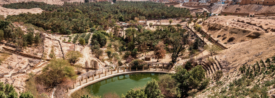 Noah Jigsaw Puzzle The basket of Nefta Tozeur, Tunisia panorama 1000 pieces