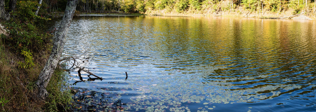 Noah Jigsaw Puzzle Panoramic view of Eagle Lake in Morehead, Kentucky in the fall panorama 1000 pieces