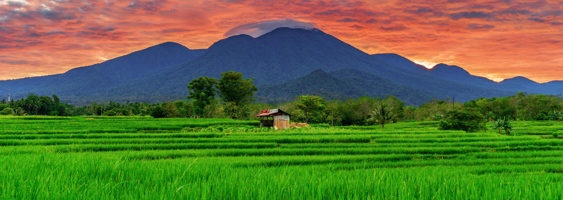 Noah Jigsaw Puzzle Asian scenery when the morning sun is beautiful over the mountains and green rice fields in the village of Kemumu, Bengkulu, Indonesia panorama 1000 pieces