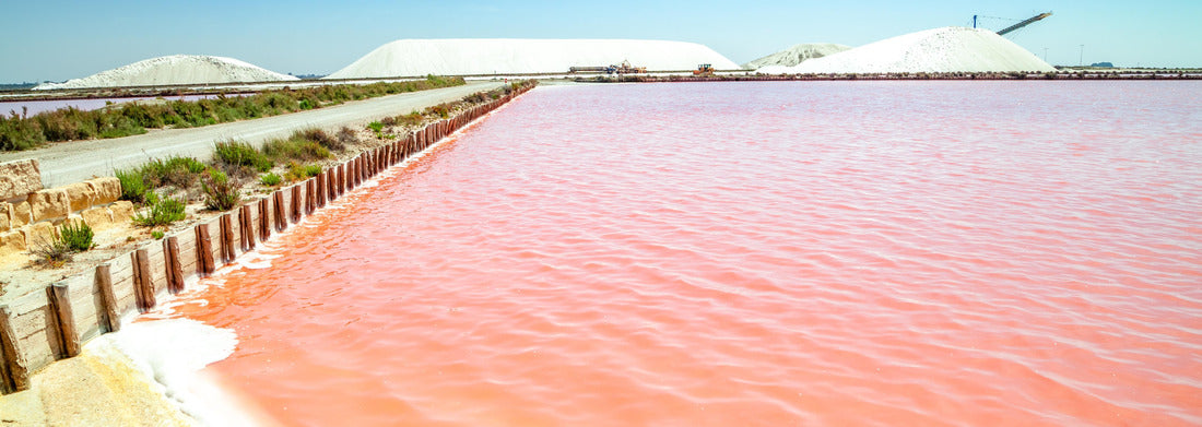 Noah Jigsaw Puzzle Aigues Mortes, Salt Lakes, France panorama 1000 pieces