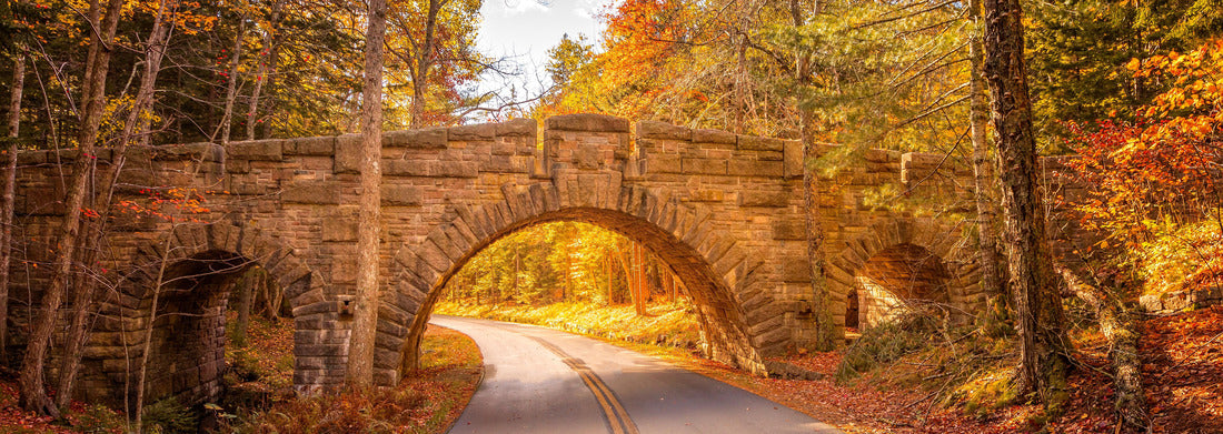 Noah Jigsaw Puzzle Stanley Brook Bridge in Acadia National Park on a sunny fall day panorama 1000 pieces
