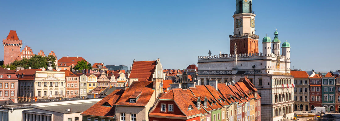 Noah Jigsaw Puzzle Beautiful architecture of the main square in Poznan in summer. Poland panorama 1000 pieces