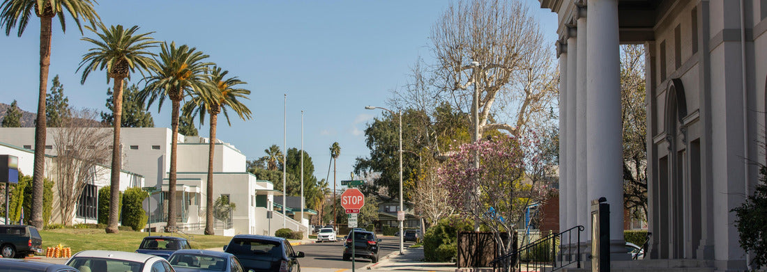 Noah Jigsaw Puzzle Afternoon view of a historic church in downtown Monrovia, California, USA panorama 1000 pieces