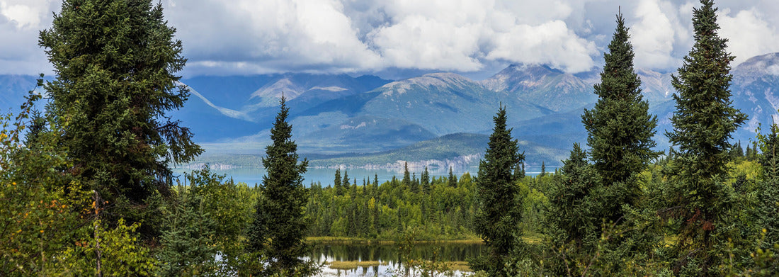 Noah Jigsaw Puzzle Beautiful landscape view of Lake Clark National Park near Port Alsworth in Alaska panorama 1000 pieces