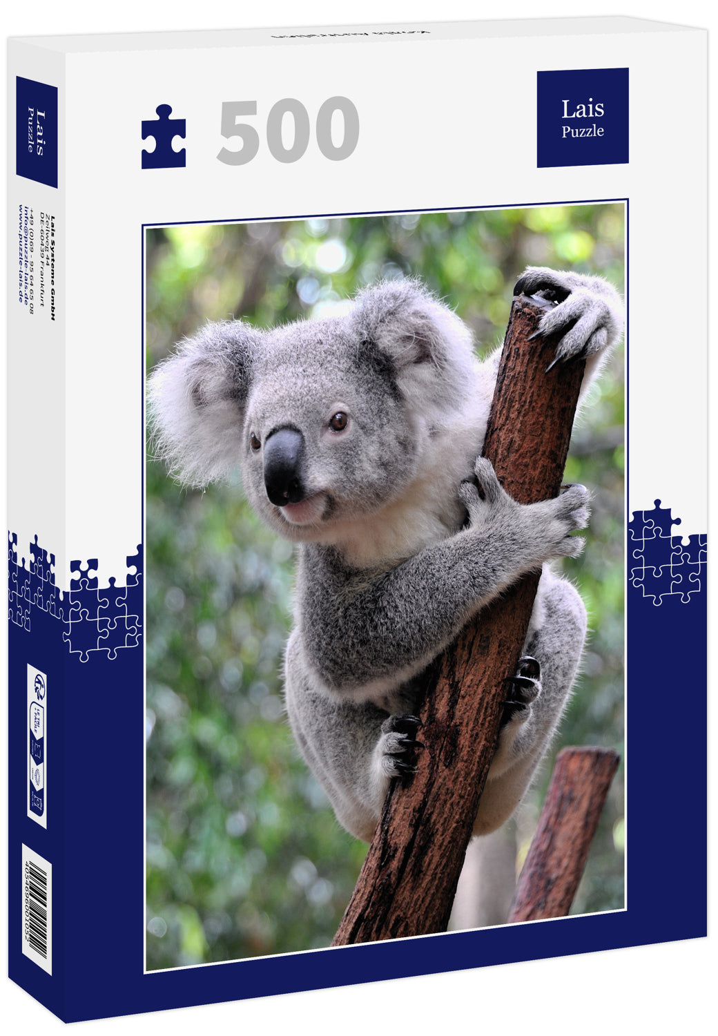 Koala, Australia