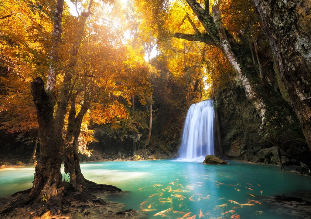 Waterfall