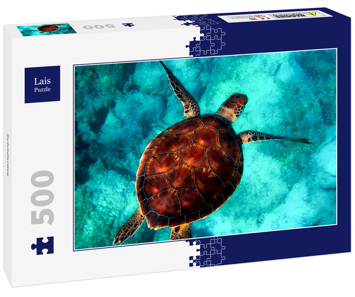 Sea Turtle
