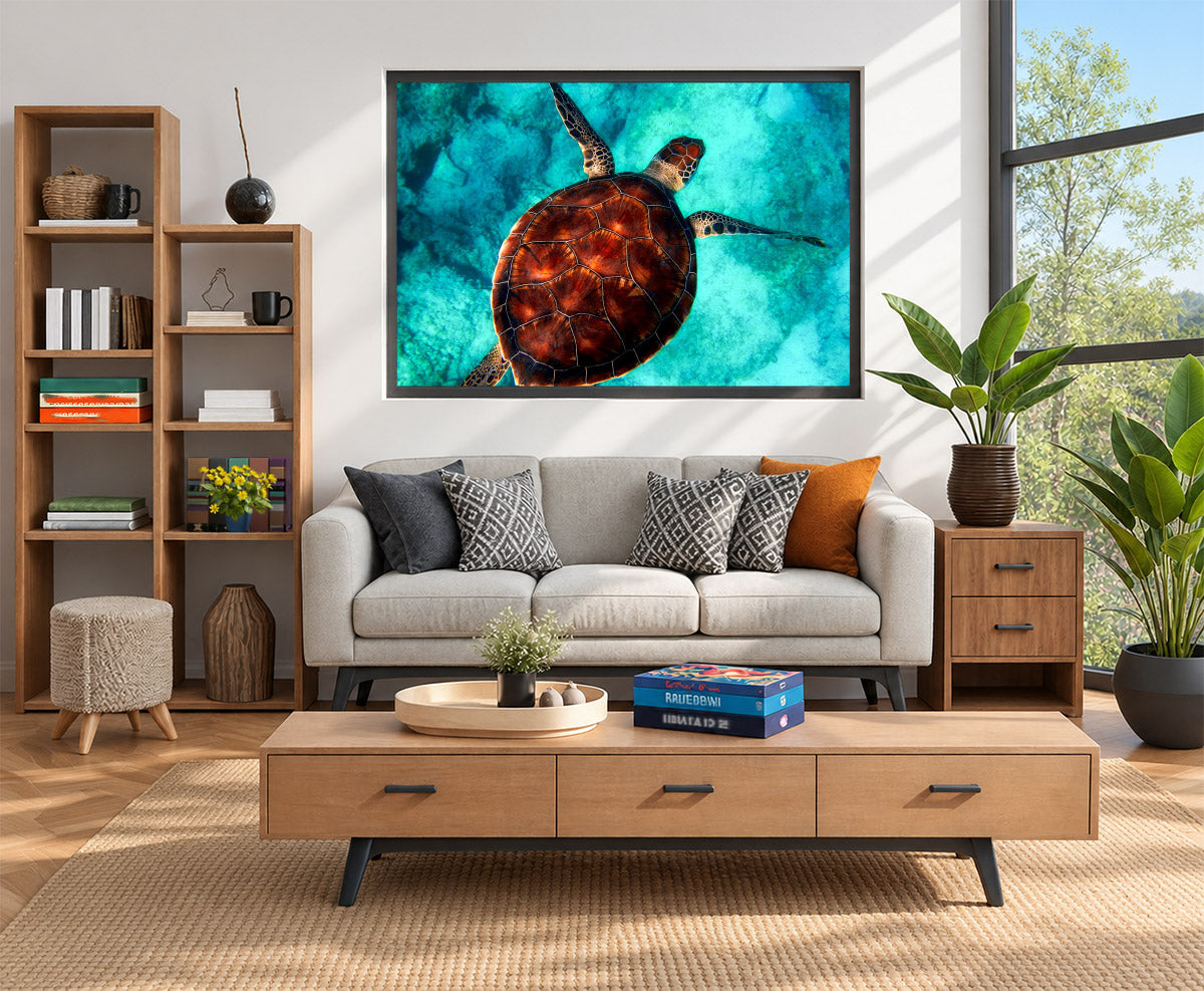 Sea Turtle