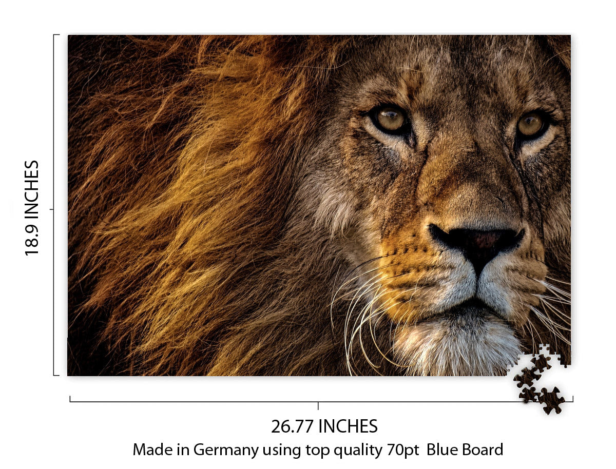 Lion