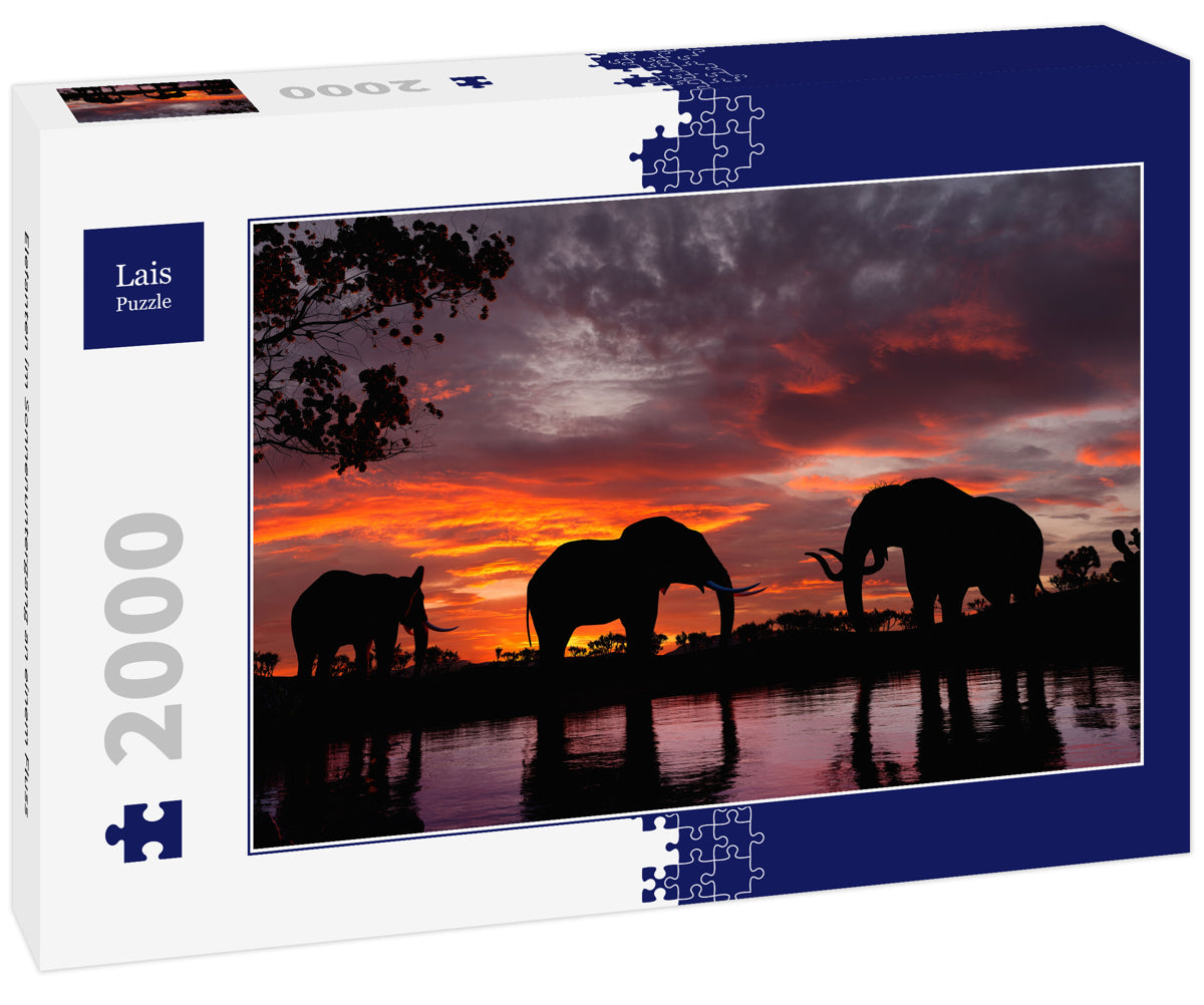 Elephants at Sunset