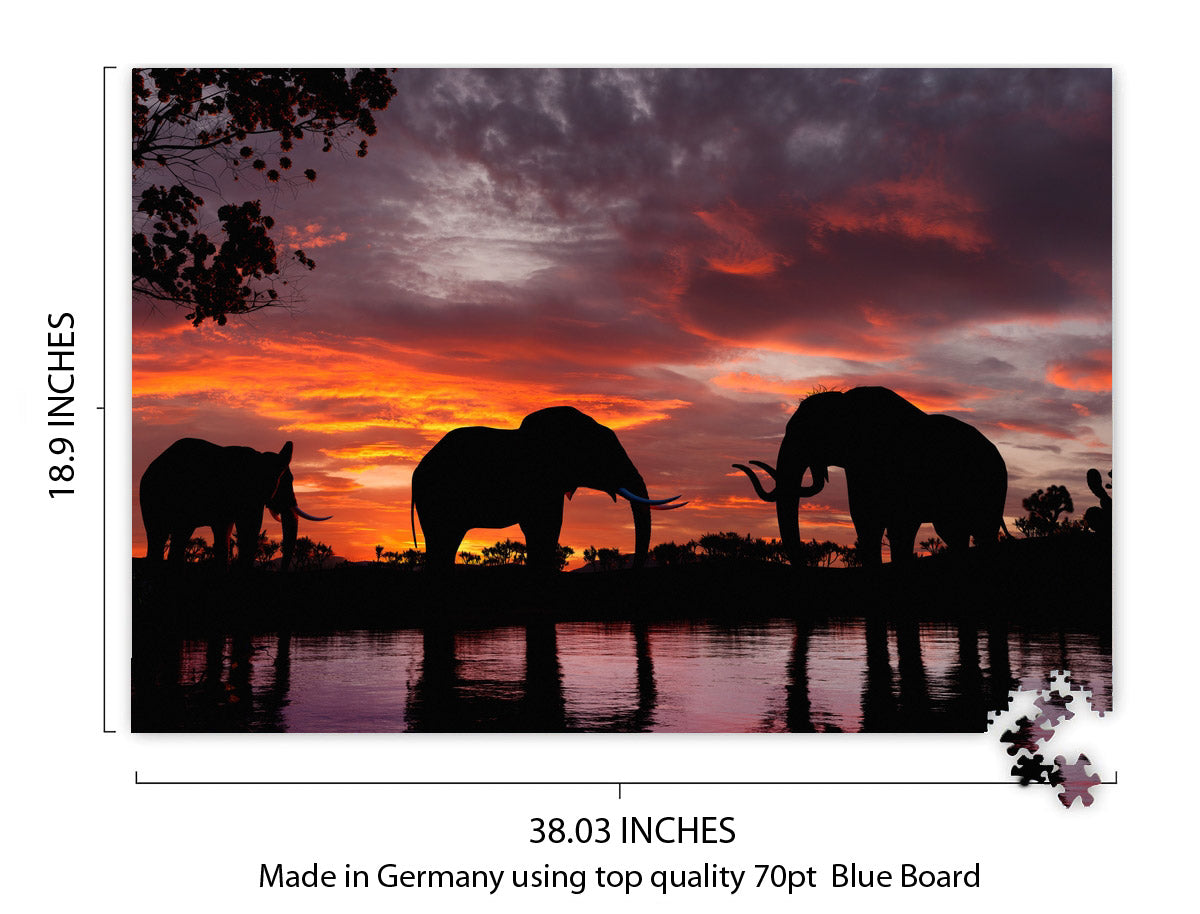 Elephants at Sunset