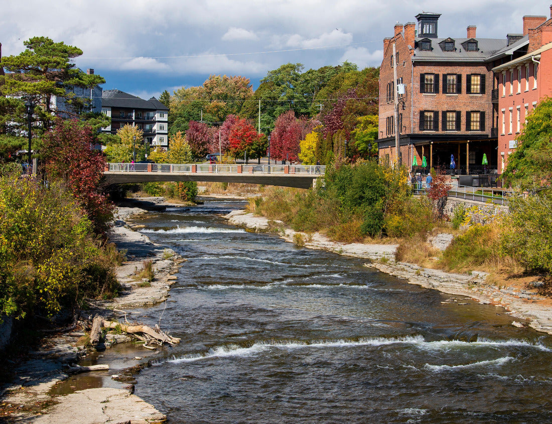 ImagiCan Jigsaw Puzzle Salmon run in the Ganaraska River. Port Hope, ON. Canada 1000 pieces