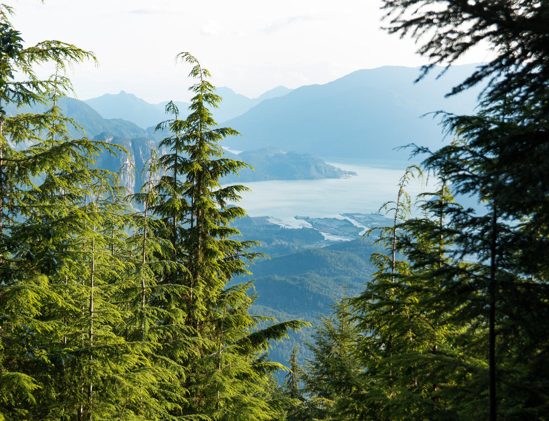 ImagiCan Jigsaw Puzzle View of the Vancouver skyline in the city center, British Columbia, Canada at sunset 1000 pieces