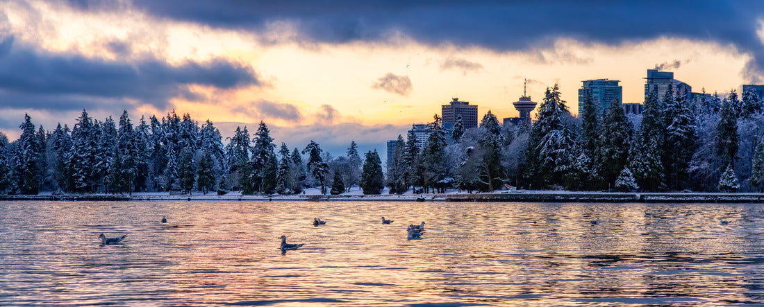 Stanley Park | Vancouver | Canada 2000pc Panoramic Puzzle