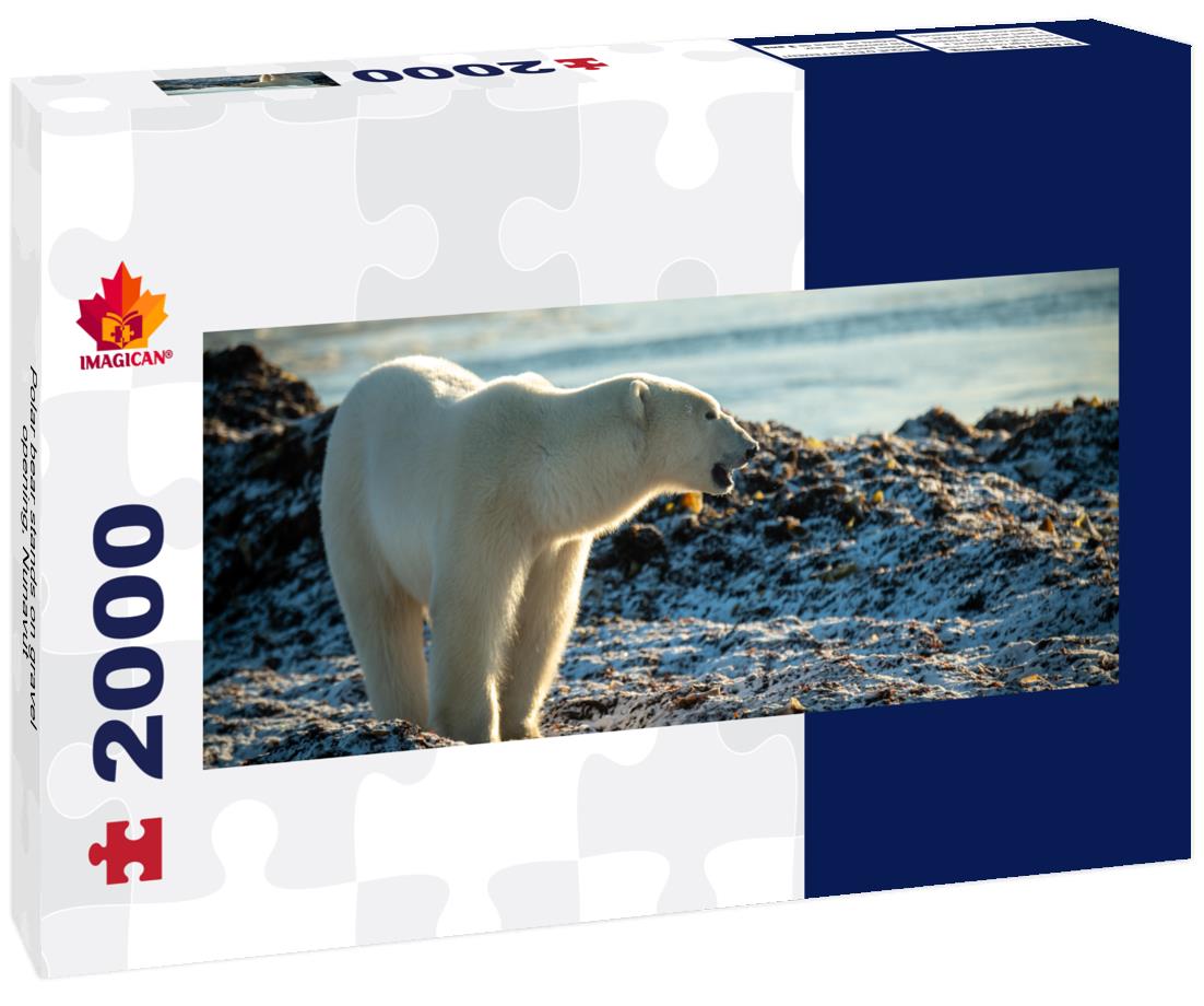 Polar Bear standing on gravel bar, Nunavut 2000pc Panoramic Puzzle