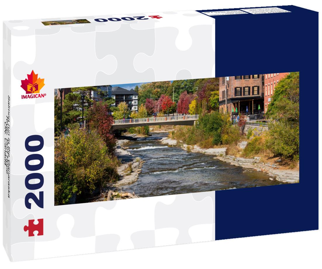 Salmon run in the Ganaraska River. Port Hope, ON. Canada 2000pc Panoramic Puzzle