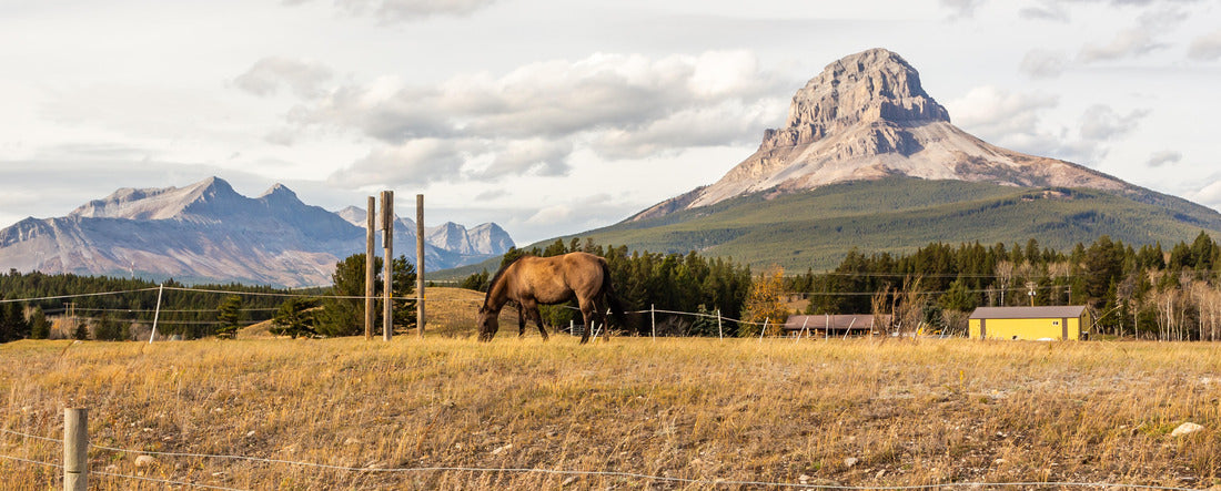 Landscape in British Columbia. Picturesque rock on the background 2000pc Panoramic Puzzle